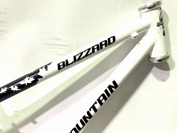BLIZZARD 20thAnniversary