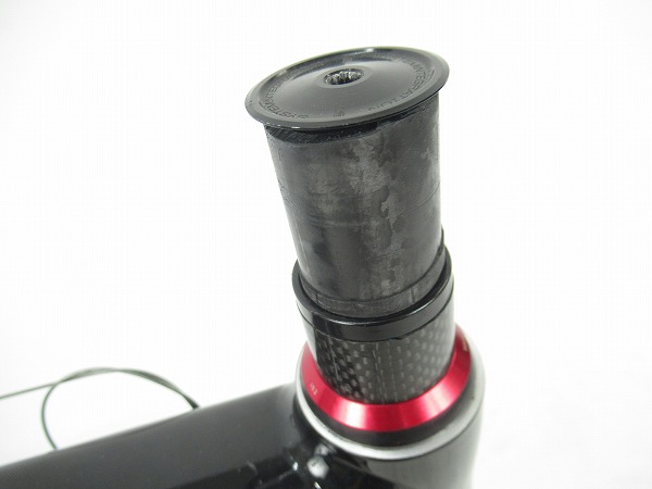 CAAD13 RIM