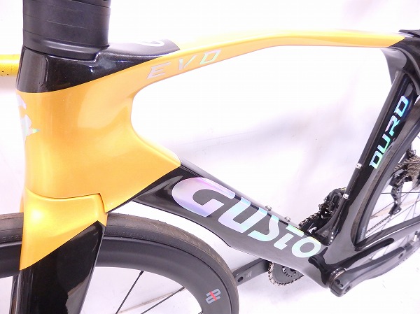 【未使用】DURO EVO DISC PRO TEAM