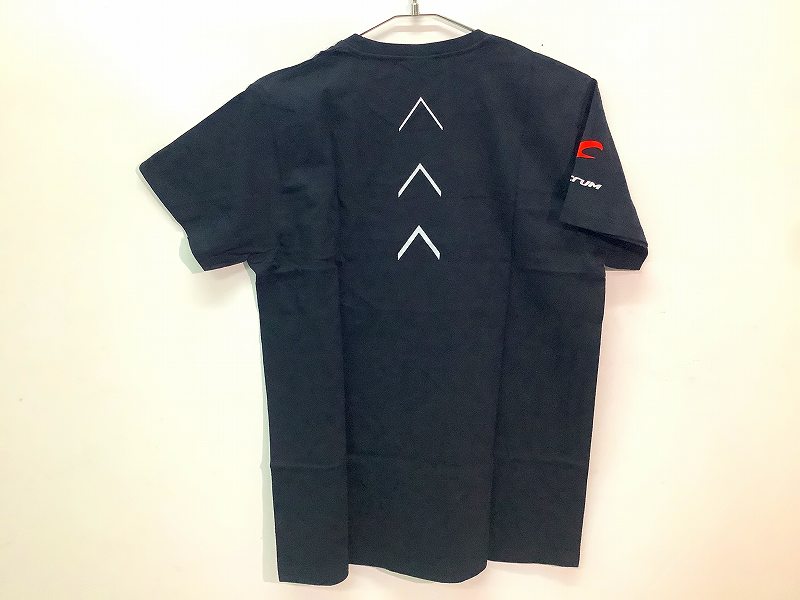 Tシャツ RAING ZERO M