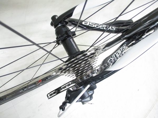 SYNAPSE CARBON ULTEGRA / シマノWH-RS81
