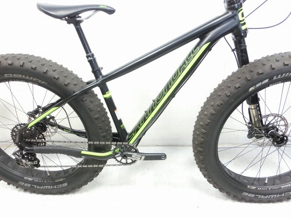 FAT CAAD1