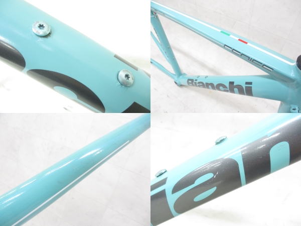 FENICE ELITE